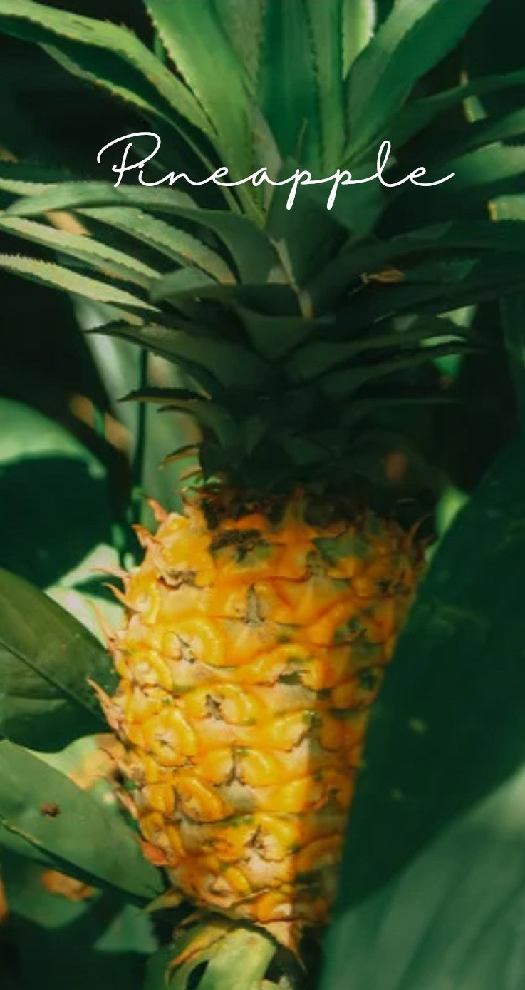 pineapple