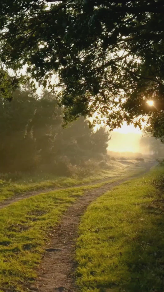 Digital Flash HQ Meditation Video for Guided Inspiration