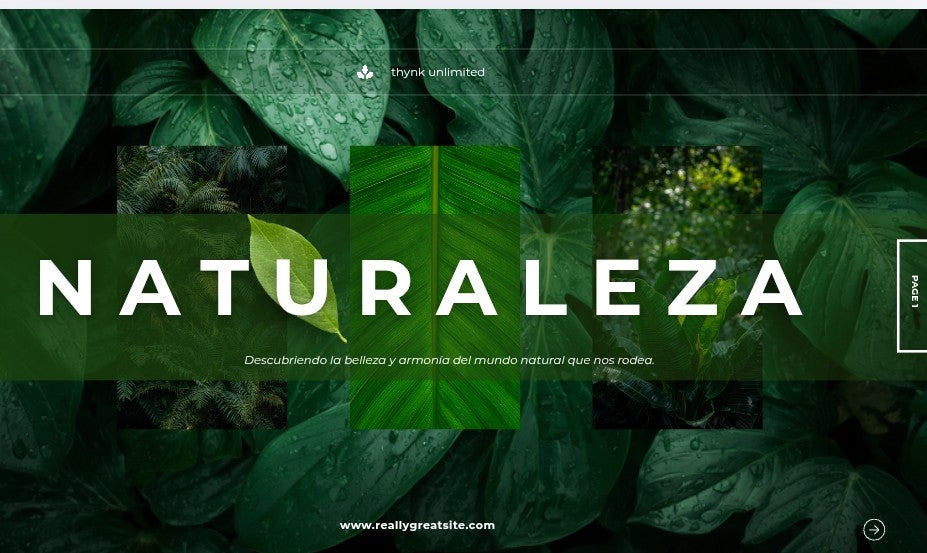 Naturales
